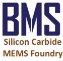 Boston MicroSystems (BMS)